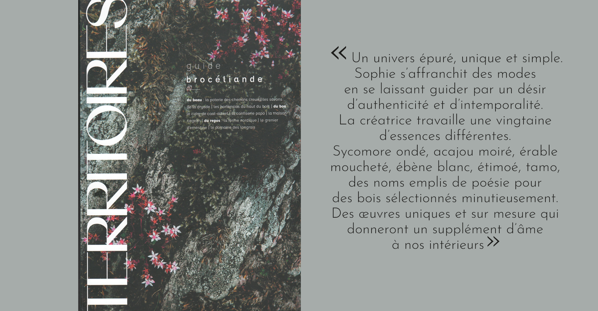 Guide Broceliande, Sophie Pinard, presse